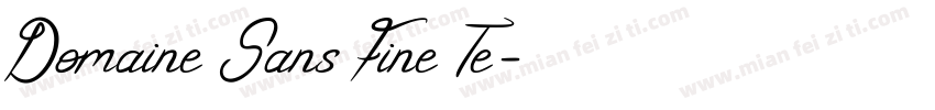 Domaine Sans Fine Te字体转换